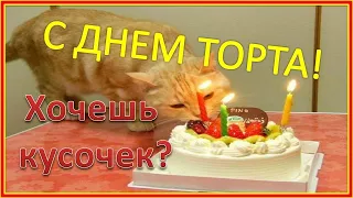 20 июля Международный день торта. С Днем тортика! Хочешь кусочек? Сладкоежкам