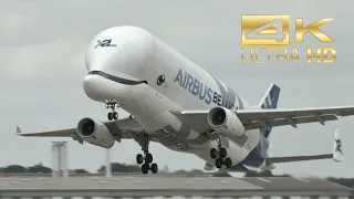 (4K) Airbus A330-743L Beluga XL 2 F-GXLH departure at XFW Airbus Hamburg