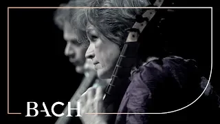 Bach - Brandenburg Concerto no. 6 in B-flat major BWV 1051 - Sato | Netherlands Bach Society