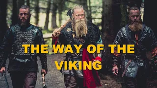 Vikings Are Raiding Village - The Beard Struggle Eivor Cosplay and Ragnar Lothbrok