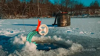 Зимняя рыбалка. Щука на жерлицы. Первый Подмосковный лёд 2020 - 2021. Открытие сезона зимней жерлицы