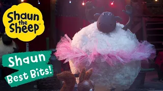 Dance Competition | Shaun the Sheep Best Bits Season 6