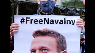 Why Russian protesters risk being arrested for Alexei Navalny