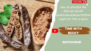 How to process the African locust beans/dawadawa/netetou/ogiri/iru into a spice.