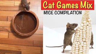 Cat TV Mice Compilation - 🐭 Mice and Cockroaches Mix Compilation for Cats {10 HOURS NO LOOP}