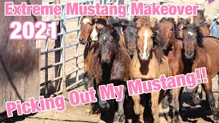 PICKING OUT MY MUSTANG! | Extreme Mustang Makeover 2021