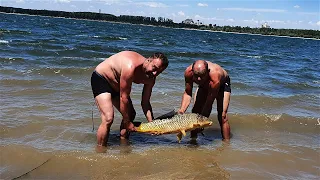 Дунав Риболов На Шарани
