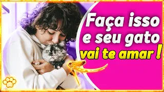 Como fazer seu GATO  te AMAR  05 dicas INCRÍVEIS