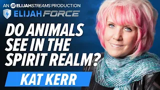KAT KERR- DO ANIMALS SEE IN THE SPIRIT REALM - Elijah Streams Update Shows