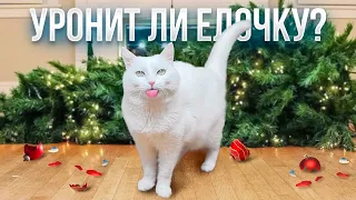 СОБИРАЕМ ЕЛОЧКУ ВМЕСТЕ С СОФОЙ🐈 🎄