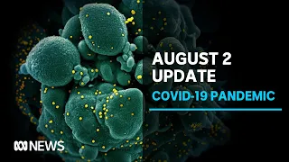 Coronavirus update August 2: Victoria's cases jump by more than 650, ABC understands | ABC News