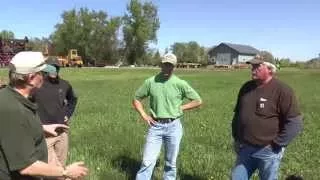 Rye As a Cover Crop - Drill Seeding