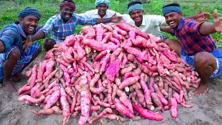 FARM FRESH SWEET POTATOES Harvesting & Cooking | Sakkaravalli Kilangu Kuzhi Paniyaram Recipe Cooking