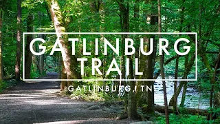 Gatlinburg Trail in Great Smoky Mountains National Park