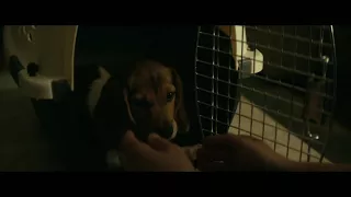 John wick with his dog.(HD 1080p)