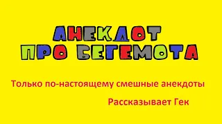 Анекдот про бегемота. Только по-настоящему смешные анекдоты. Рассказывает Гек.