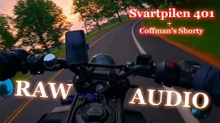 Quickshifter Commute - Svartpilen 401 - (RAW Audio) [4K]