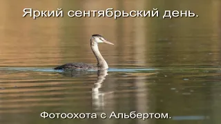 Фотоохота с Альбертом. Яркий сентябрьский день.