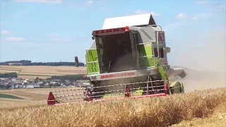 Gerstenernte 2022 Claas Dominator 98SL MAXI - Eicher Königstiger I - Claas Ares 617