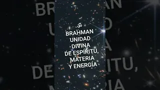 ॐ SUDDHA DHARMA MANDALAM SECCIÓN CHILENA ॐ YOGA MEDITACIÓN Desde 1920