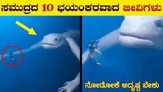 10 Most Dangerous Monster Fishes in the World | Rarest Fish in the world | VismayaVani