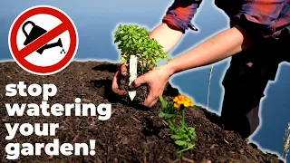 Stop Watering Your Garden! // Homesteading