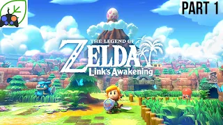 The Legend of Zelda: Links Awakening Switch Remake (Part 1)