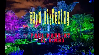 PAUL MAURIAT - EL BIMBO