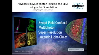 Multiphoton Imaging and SLM Holographic Stimulation | Bruker