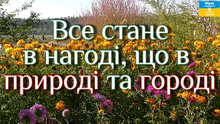 Все стане в нагоді, що в природі та городі