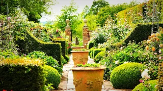 Bright water gardens