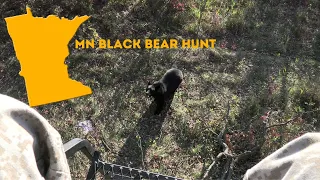 Fall Black Bear Handgun Hunting
