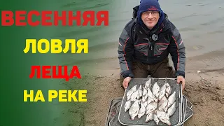 Весенняя ловля леща на реке