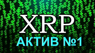 XRP - АКТИВ №1 по объемам торгов, соц. показателям и динамике XRPL