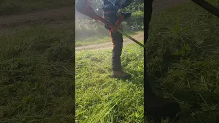 Husqvarna 545 RX Strimmer Brush Cutter Working in Thick Grass