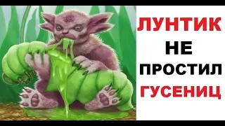 Лютые приколы. Лунтик НЕ простил гусениц!!!