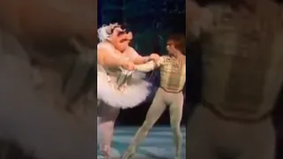 Rudolf Nureyev at "The Muppet Show" in the "Swine Lake" sketch in 1977 😂 🤣 😂 #shorts #short #ballet