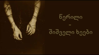 werili - shishveli xeebi lyrics