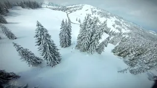 Swiss Winter Drone Flight - 8 Minutes through snowy forest with Kill Bill sounds