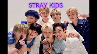 Random playlist Stray kids                          #straykids #stay