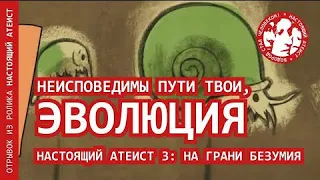 Неисповедимы пути твои, эволюция | НАСТОЯЩИЙ АТЕИСТ 3: НА ГРАНИ БЕЗУМИЯ (отрывок)