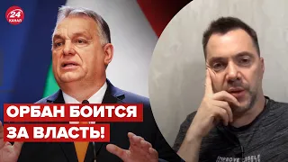 АРЕСТОВИЧ прокомментировал новое заявление Орбана @arestovych