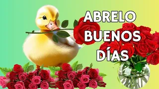 Mensaje de BUENOS DIAS Feliz Martes Saludos de Buenos Días Reflexión Ábrelo  Frases