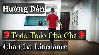 Hướng Dẫn Todo Todo💥Cha Cha CỰ HAY -💥Linedance / Leo  (BÀI KHỚP NHẠC BẤM▶️)