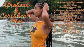 AFROBEAT & CARIBBEAN MIX 2024 [APRIL] - The Best of Afrobeat Mixed by EBTJOSH