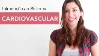 Sistema Cardiovascular 1/6: Introdução | Anatomia e etc.