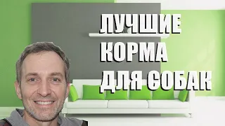 Лучшие корма для собак - рейтинг 2023 года