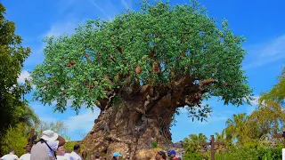Disney's Animal Kingdom 2020 Tour & Walkthrough in 4K | Walt Disney World Orlando Florida