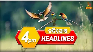 Headlines@4PM। 27 January 2023 । NandighoshaTV