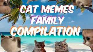 Cat Memes: Roadtrip Compilation